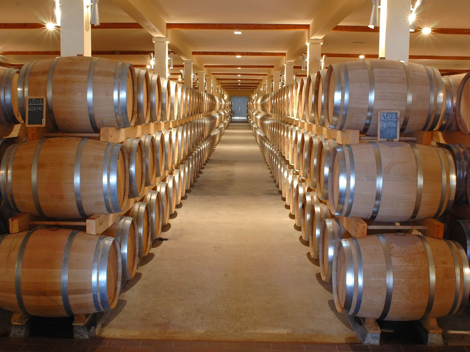 Rows of wooden barrels in a wine cellar
