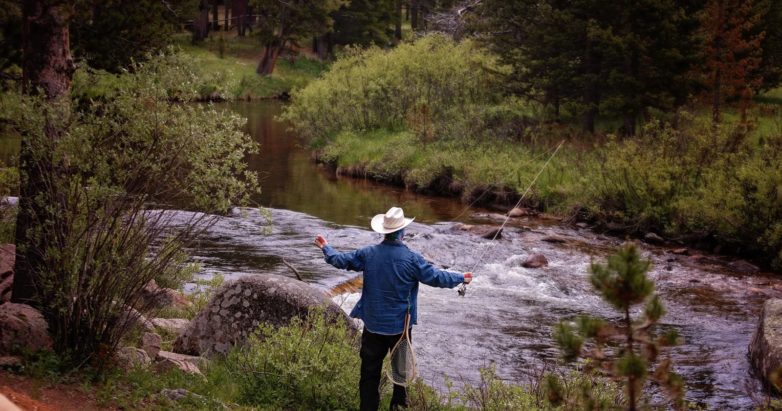 An angler fly fishing beside a forest river
