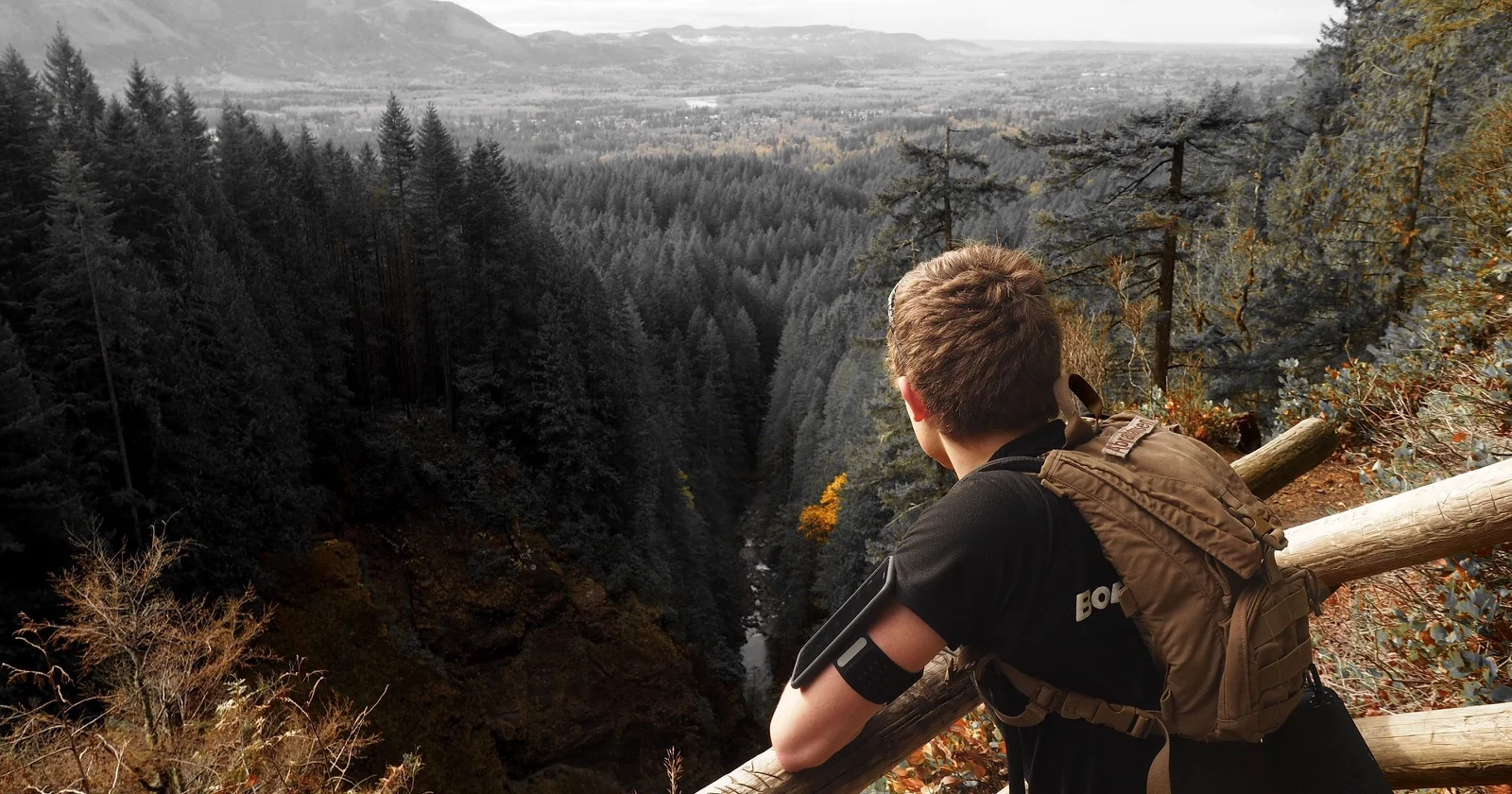 A hiker overlooking a forested mountain valley