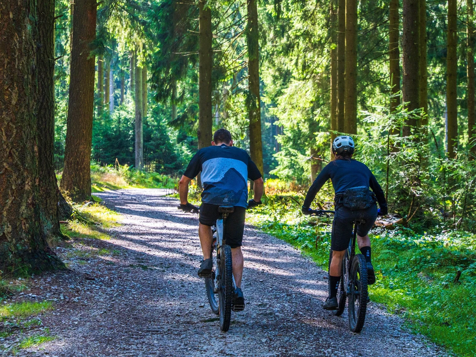 Two mountain bikers riding a forest trail
